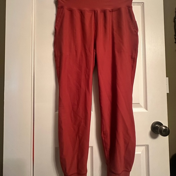 Terracotta Jogger Pants - Picture 1 of 1